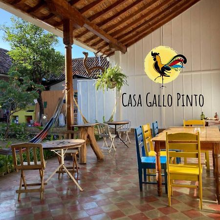 Casa Gallo Pinto กรานาดา ภายนอก รูปภาพ