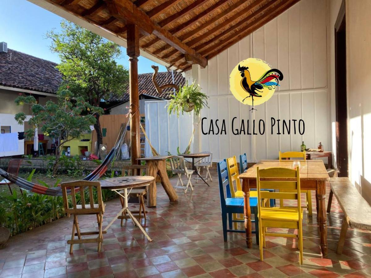 Casa Gallo Pinto กรานาดา ภายนอก รูปภาพ