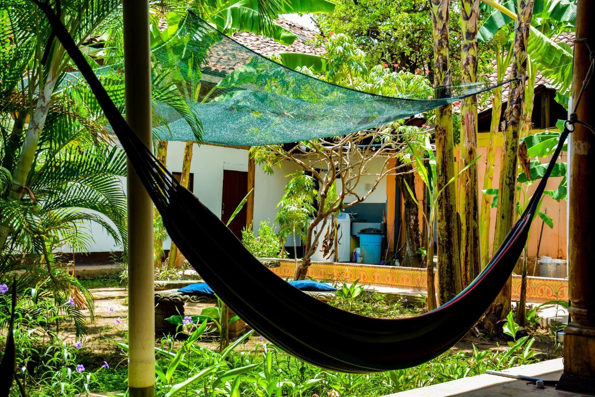 Casa Gallo Pinto กรานาดา ภายนอก รูปภาพ